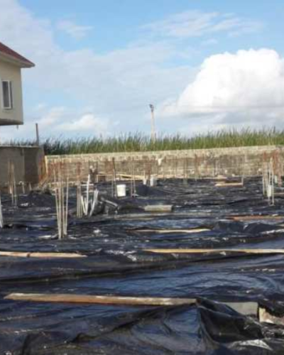 Ms finite frid pix 06